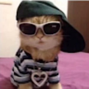 Meet your Posher, Millie